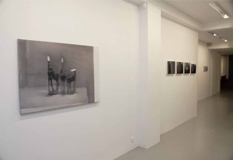 installation view