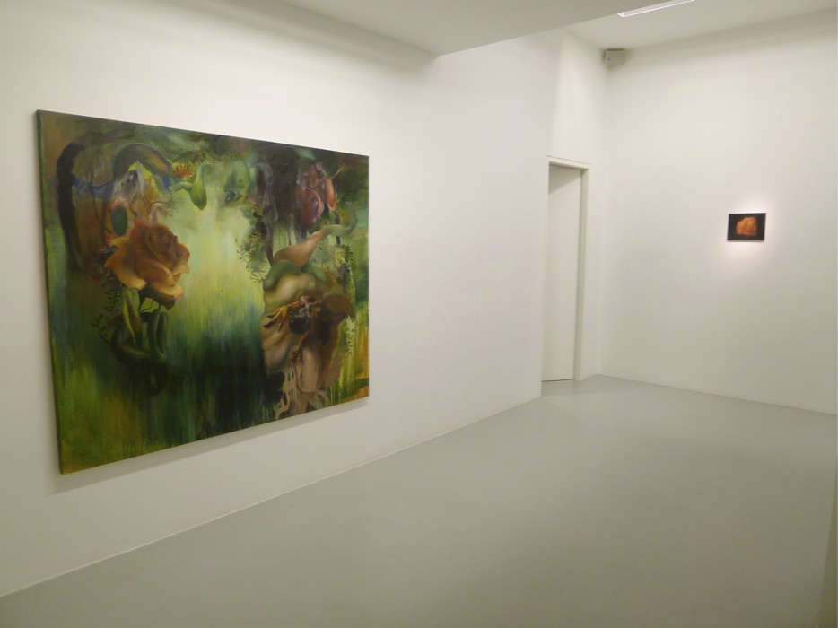 installation view