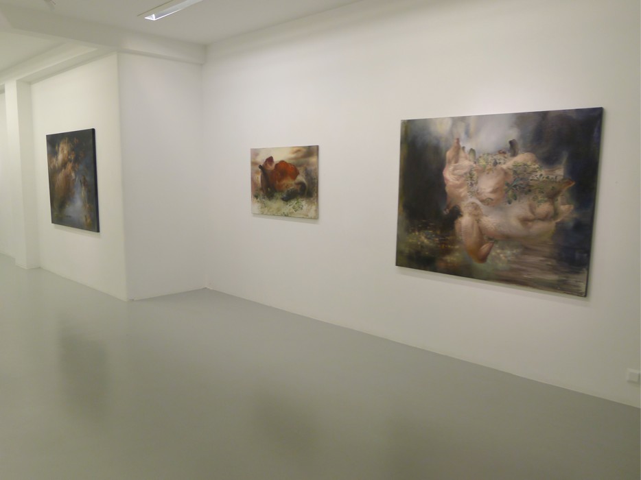 installation view