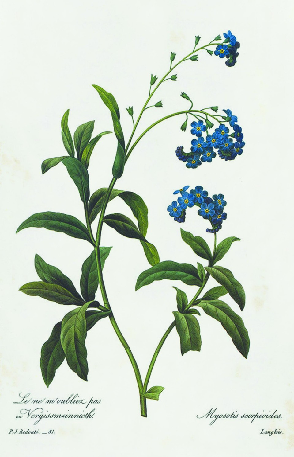 αφίσα έκθεσης