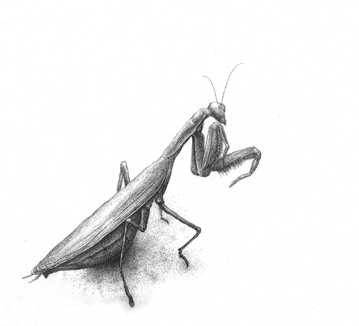 Λεωνίδας Γιαννακόπουλος. 