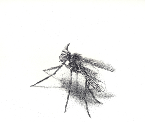 Λεωνίδας Γιαννακόπουλος. 