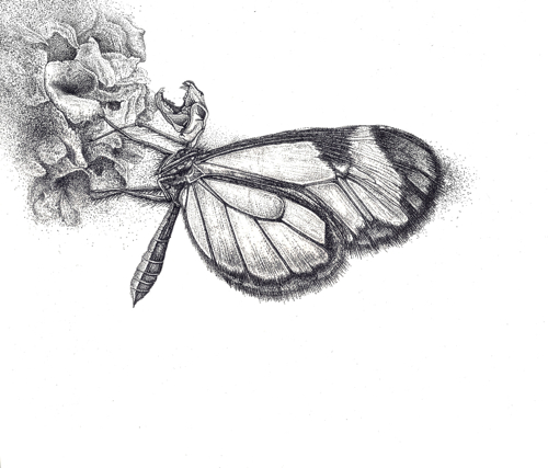 Λεωνίδας Γιαννακόπουλος. 