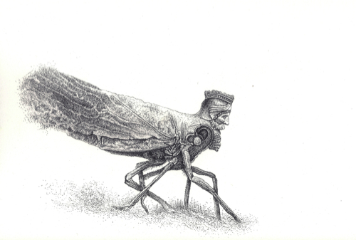 Λεωνίδας Γιαννακόπουλος. 