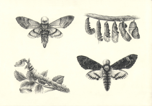 Λεωνίδας Γιαννακόπουλος. 