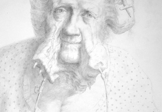 Steven C. Harvey - Old Age XV - 2012. Pencil on paper. A2