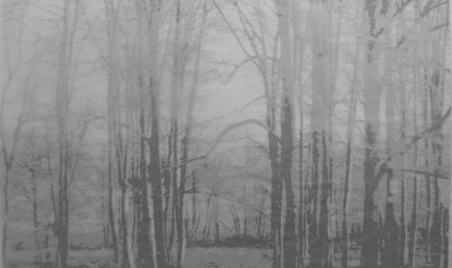 Ioanna Ximeri. Untitled. Tissue paper. 70x100 cm