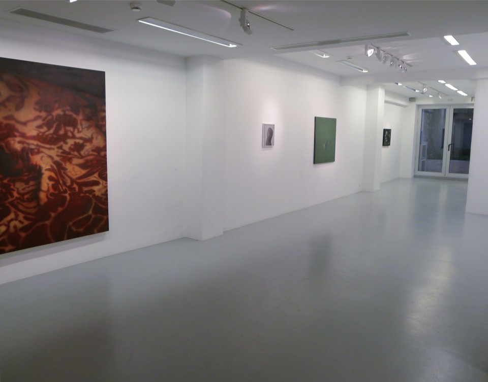installation view