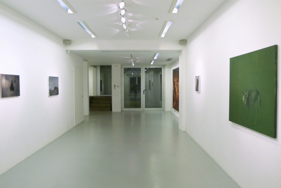 installation view