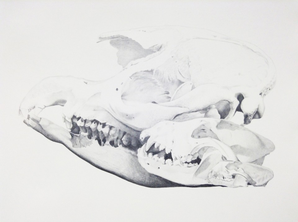 Triptych #1, 2014, pencil on paper