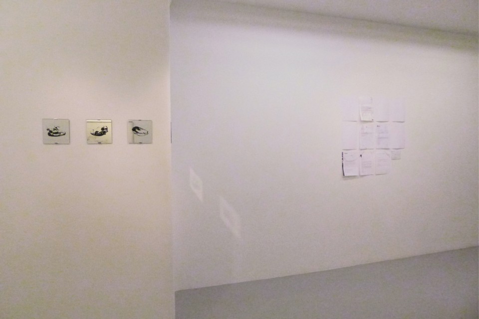 installation view