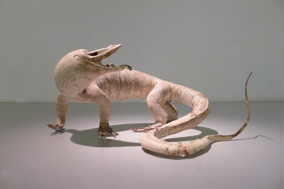 Sentenced to Life, 2014, embalmed animal, 18 x 37 x 34 cm