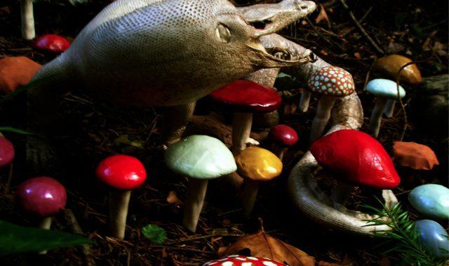 Lifescape II, 2013, digital print, 38 x 50 cm