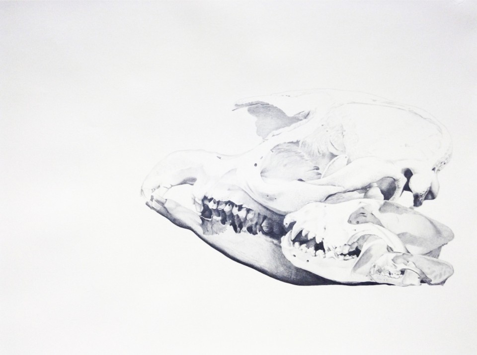 Triptych I, 2013, pencil on paper, 53 x 73,5 cm