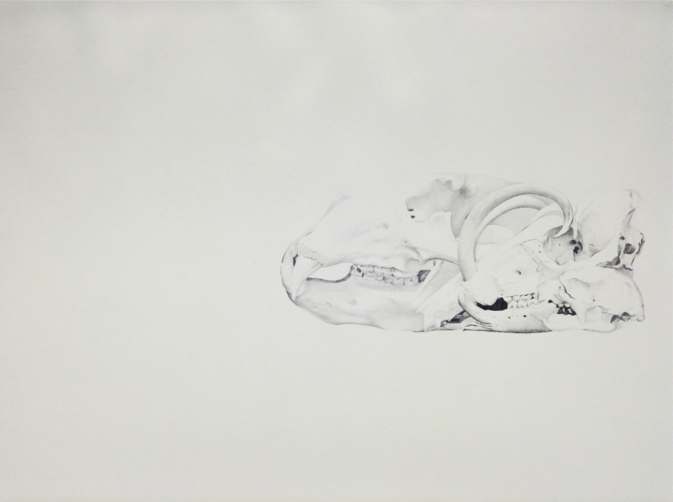 Triptych III, 2013, pencil on paper, 53 x 73,5 cm