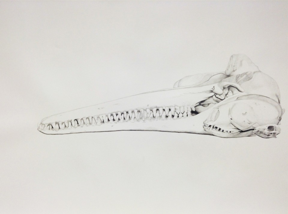 Triptych II, 2013, pencil on paper, 53 x 73,5 cm