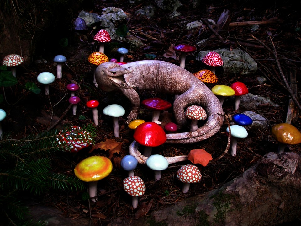 Lifescape I, 2013, digital print, 38 x 51 cm