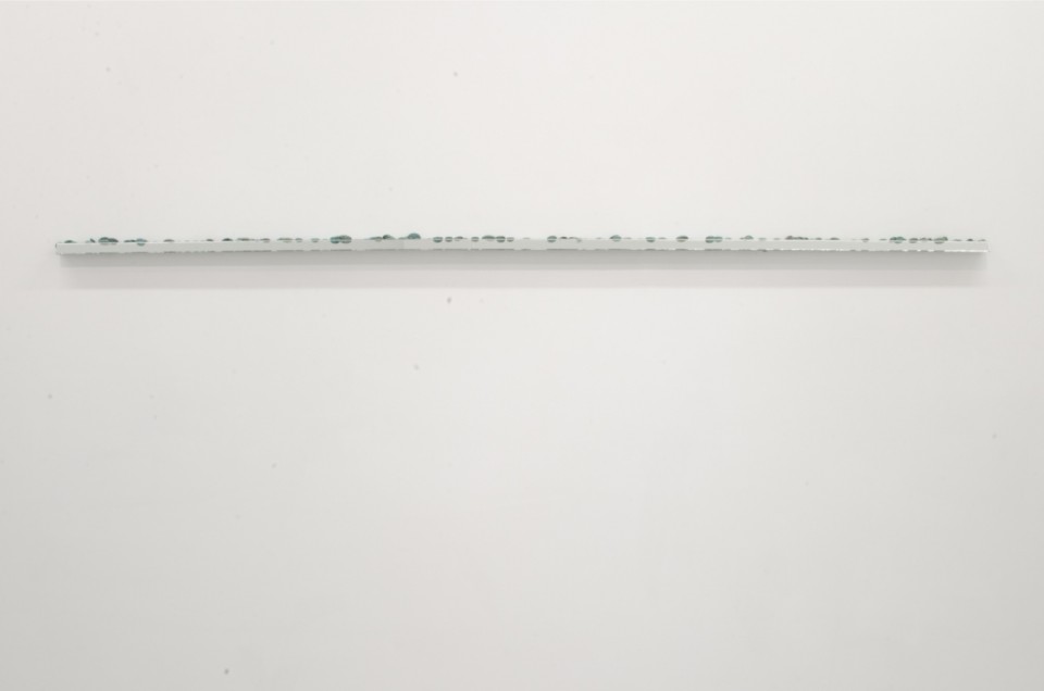 Ripe and ready to thrive, 2013