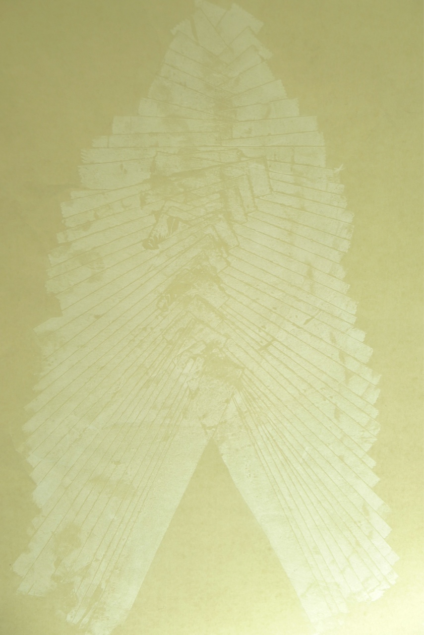 Fossils, 2015, white carbon paper, clear acrylic and fluorescent lamp, 50 x 58 cm (detail)