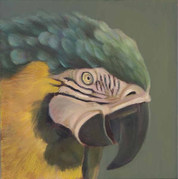 Vasilis Zografos
Untitled 2009,
25 x 25 cm
oil on canvas
Courtesy the artist & Eleftheria Tseliou Gallery