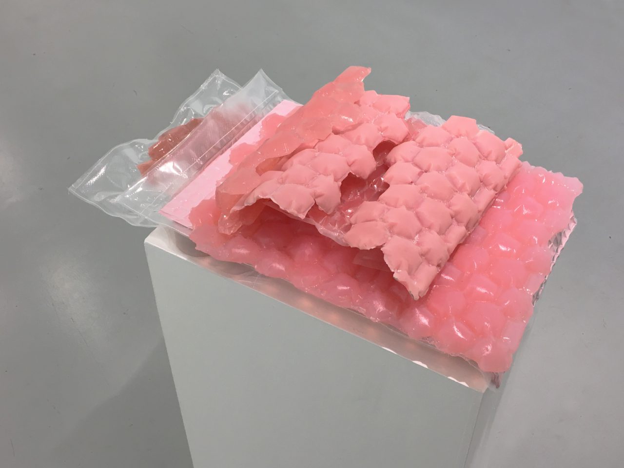 Untitled, 2018,
microcrystalline wax, beeswax, glass wax, plastic, plastic mesh, pigment, tissue paper, lace, tracing paper,
11 x 55 x 34 cm 
