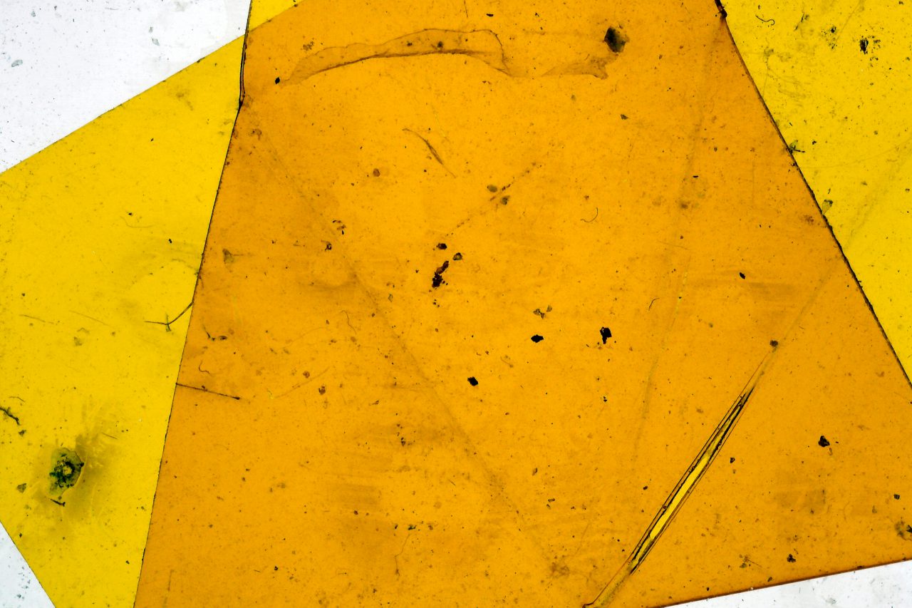 A few notes for the day that is gone, 2014-2018, duratrans print, metal, light panel, 65 x 70 x 10 (detail)