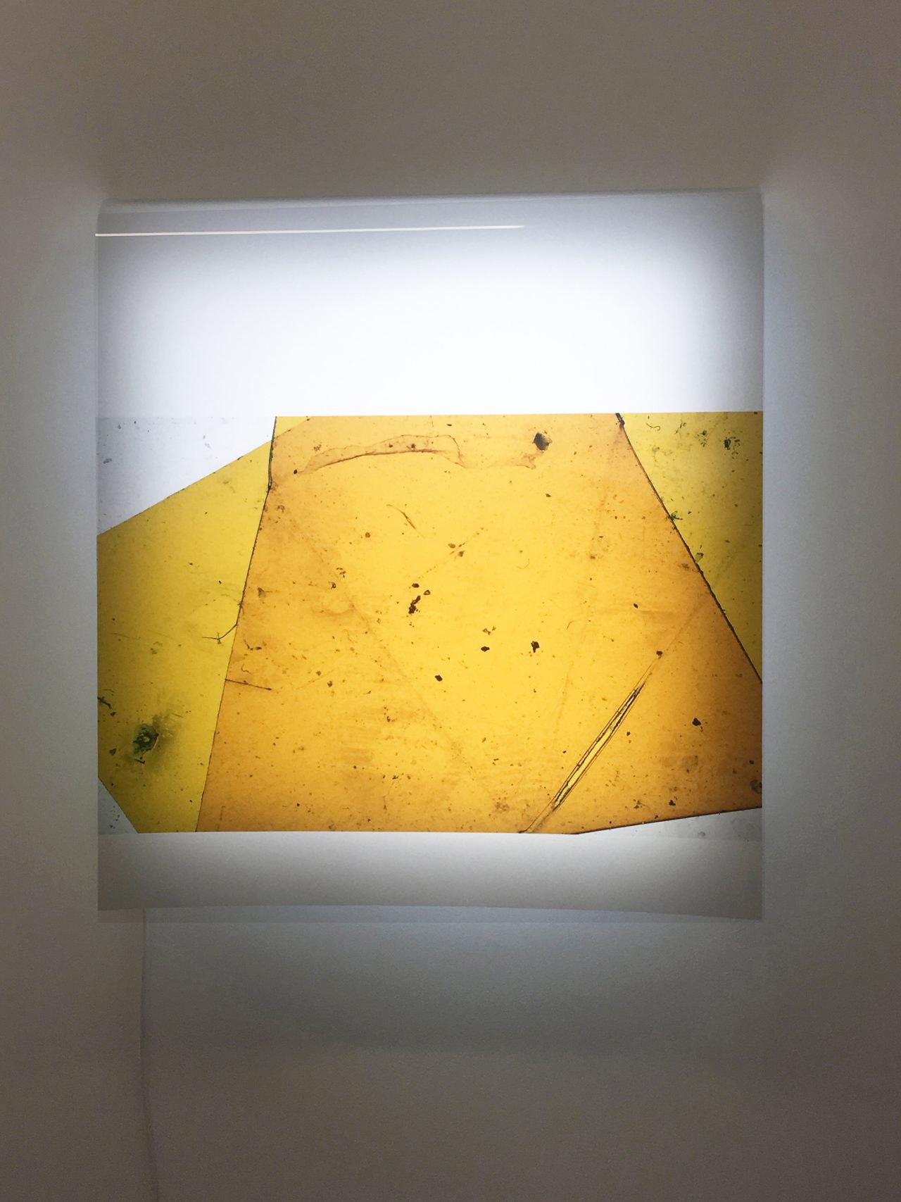 A few notes for the day that is gone, 2014-2018, duratrans print, metal, light panel, 65 x 70 x 10 cm 
